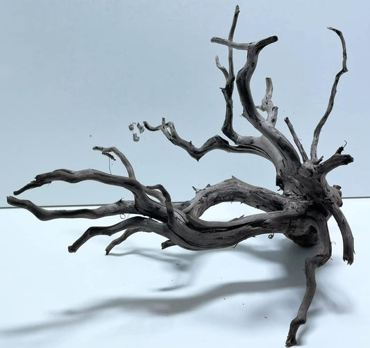 Driftwood